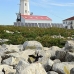 lighthouse_island_seal_machias_v_0116_can0147.jpg